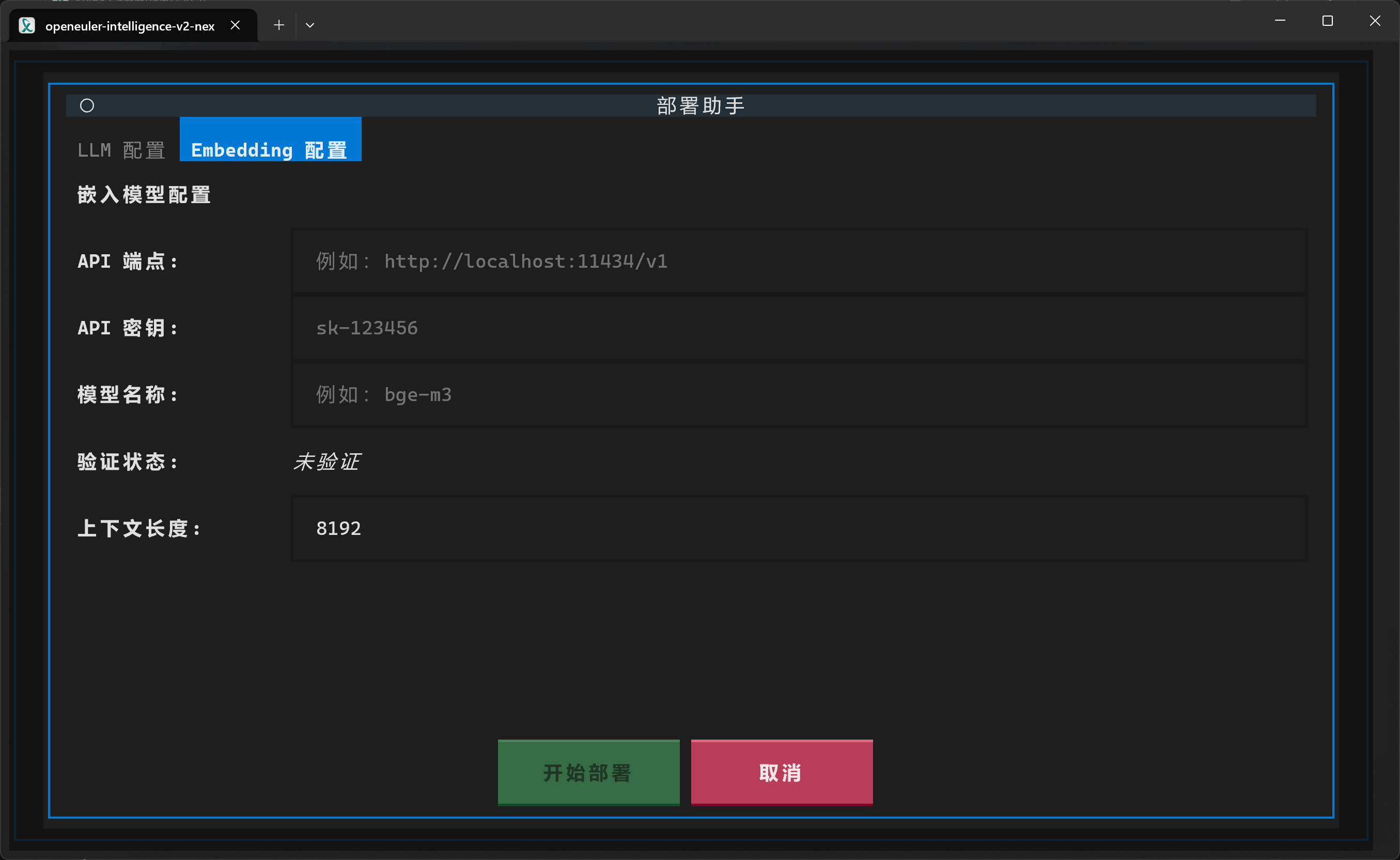 Embedding 配置标签页