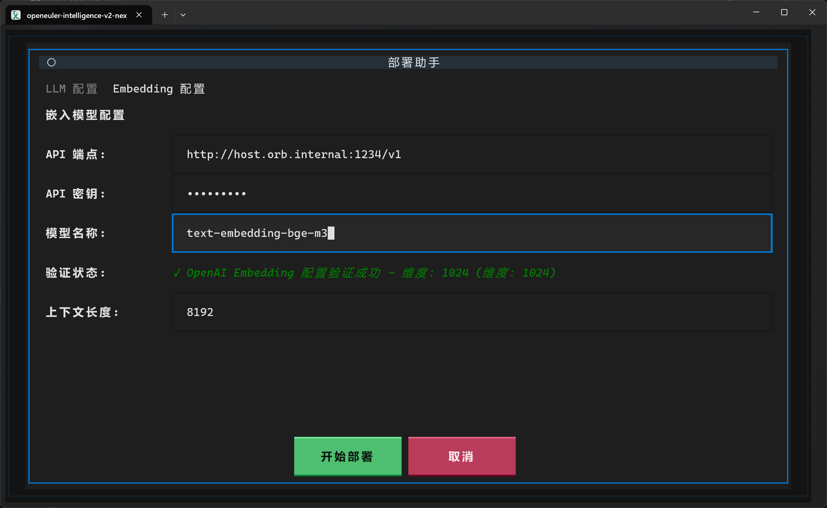 填写 Embedding 信息